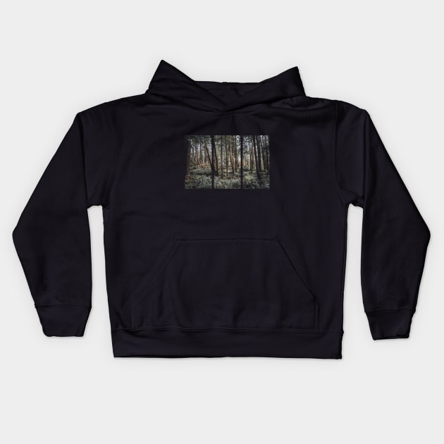 Oregon Coast Old Growth Forest-PNW Moody Landscape Kids Hoodie by tonylonder